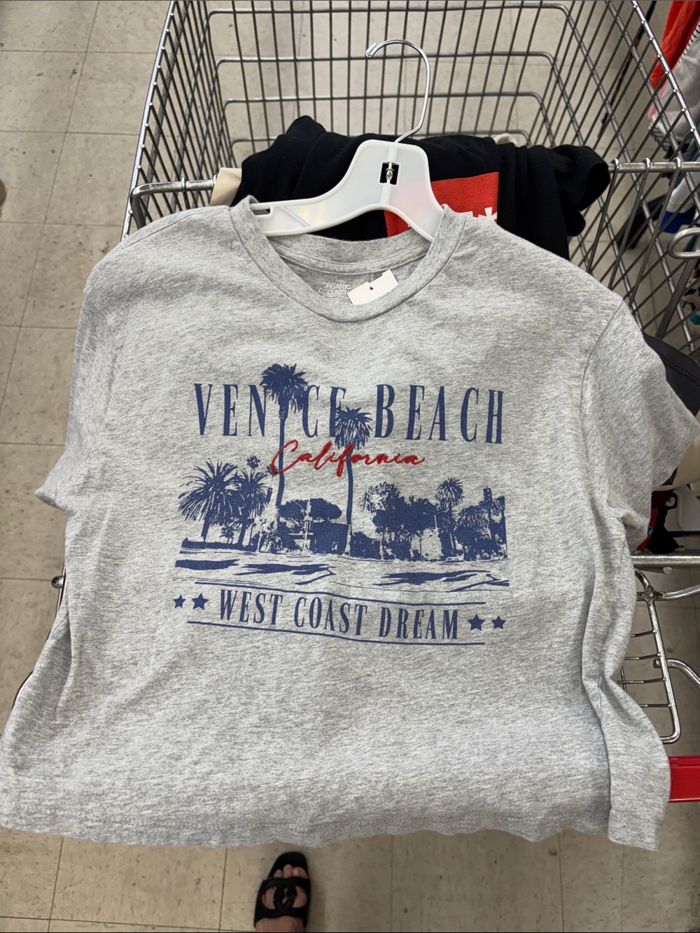 Venice Beach California Graphic Tee - Grey